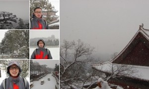 查看 20100103北京大雪-颐和园