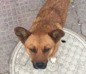 微信图片_20181009174335